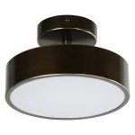 Светильник на штанге F-promo Atma 3060-2P от ImperiumLoft