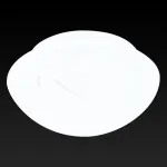 Накладной светильник TopLight Rosamond TL9420Y-02WH Цвет арматуры белый Цвет плафонов белый