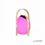 Колонка звуковая iLedex Giggle OVS1100-CH WH от ImperiumLoft