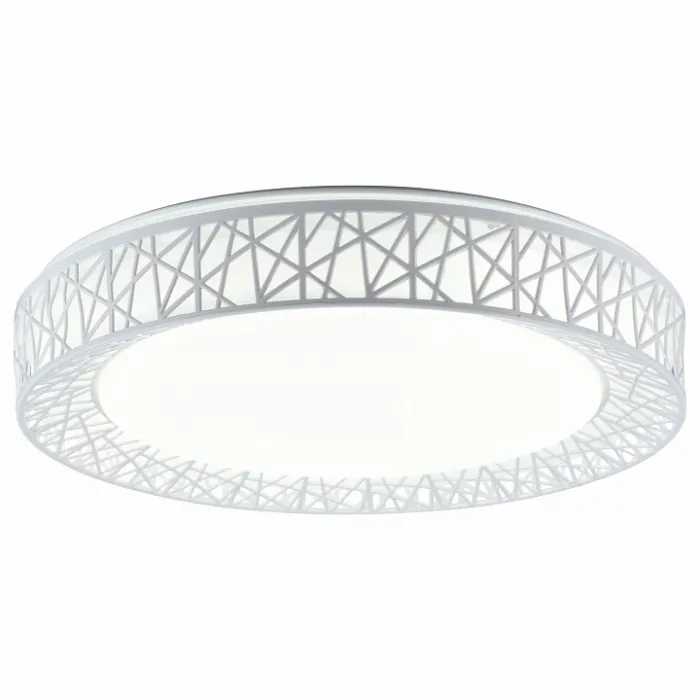 Накладной светильник TopLight Diana TL1204X-72WH Цвет арматуры белый Цвет плафонов белый от ImperiumLoft