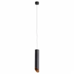 Подвесной светильник Arte Lamp Pilon-Gold A1536SP-1BK от ImperiumLoft