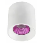 Накладной светильник Denkirs DK3020WPI DK3090-WH+PI Цвет плафонов белый