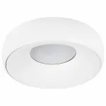 Накладной светильник Arte Lamp Heze A6665PL-1WH