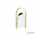 Колонка звуковая iLedex Giggle OVS1100-CH WH от ImperiumLoft