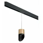 Подвесной светильник Lightstar Rullo PRORP349087