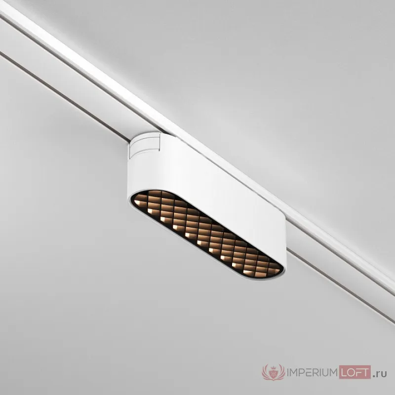 Трековый светильник Maytoni Basis Grid TR084-1-6W4K-W от ImperiumLoft