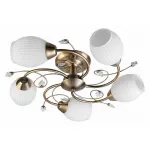 Потолочная люстра TopLight Katrina TL3590X-05AB 