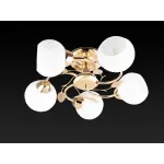 Потолочная люстра TopLight Maria TL3510X-05FG 