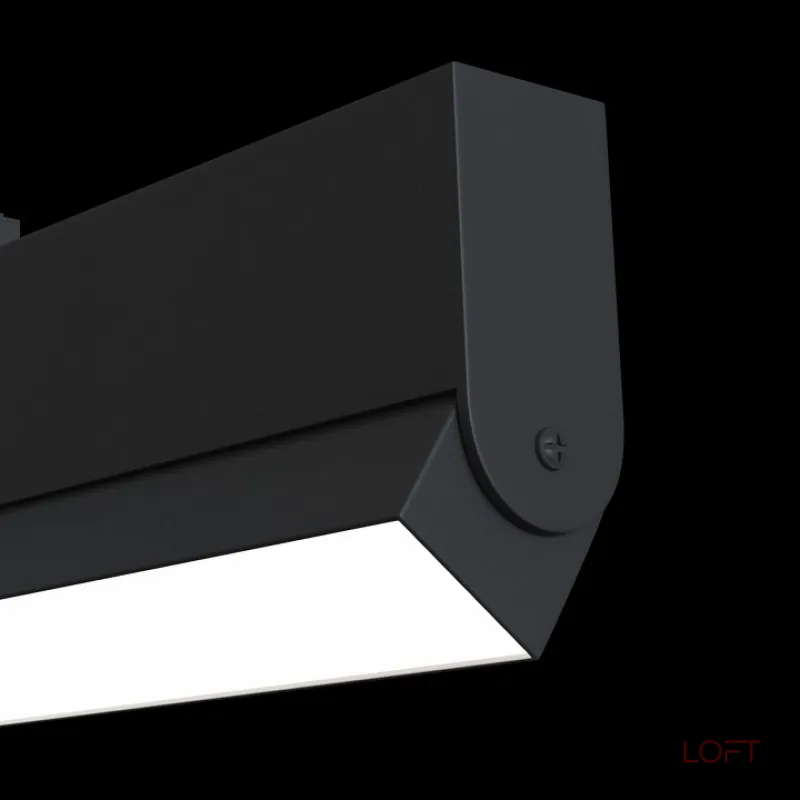 Накладной светильник Maytoni Track lamps TR013-2-20W3K-B Цвет арматуры черный Цвет плафонов черный Накладной светильник Maytoni Track lamps TR013-2-20W3K-B Цвет арматуры черный Цвет плафонов черный