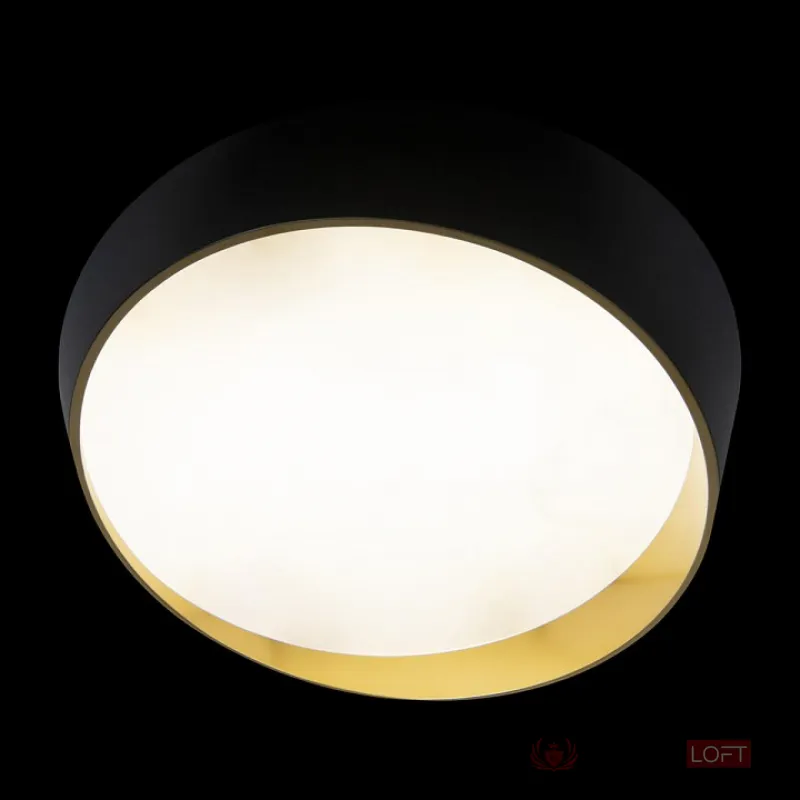 Накладной светильник Loft it Coin 10199 Black от ImperiumLoft