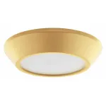 Накладной светильник Lightstar Urbano mini 214734