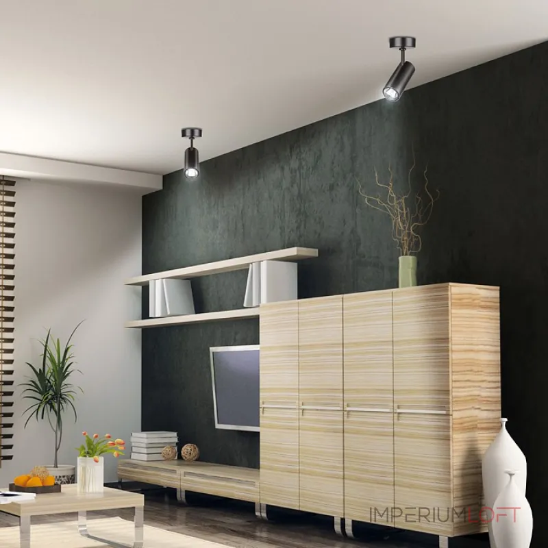 Спот Novotech Selene 357552 Цвет плафонов черный Цвет арматуры черный от ImperiumLoft