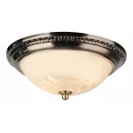 Потолочный светильник Arte Lamp Alta A3009PL-2AB