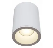Потолочный светильник Technical C029CL-01W