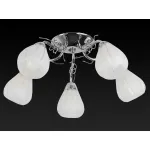 Потолочная люстра TopLight Alexia TL3640X-05CH 