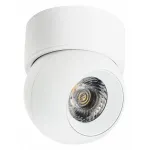 Накладной светильник Lightstar Intero i06406