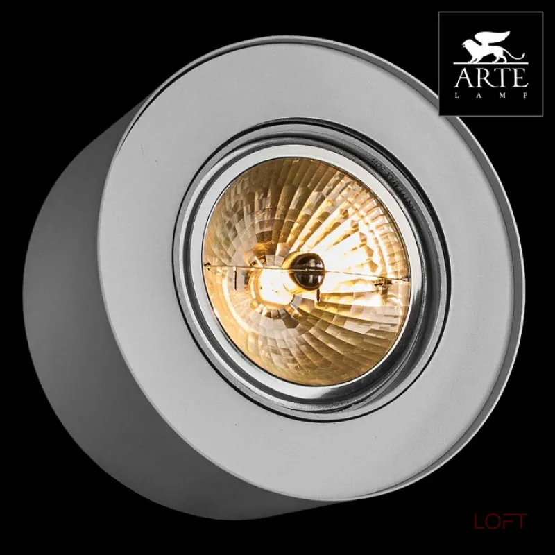 Накладной светильник Arte Lamp Cliff A5643PL-1WH Цвет арматуры белый Цвет плафонов белый
