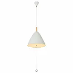 Подвесной светильник Globo Pura 15325W 