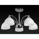 Потолочная люстра TopLight Celia TL3610X-05CH 