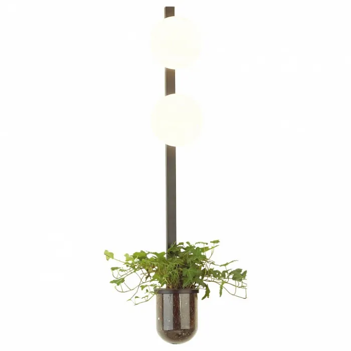 Бра Odeon Light Flower 4681/2WA Цвет плафонов белый Цвет арматуры черный от ImperiumLoft