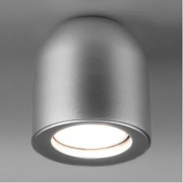Накладной светильник Elektrostandard DLN116 a050674 Цвет плафонов серебро Цвет арматуры серебро