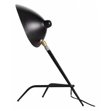 Настольная лампа декоративная ST-Luce Spruzzo SL305.404.01
