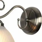 Бра Arte Lamp Costanza A6276AP-1AB Цвет арматуры бронза Цвет плафонов бронза