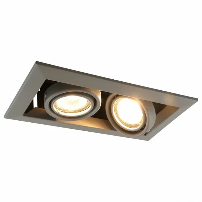 Встраиваемый светильник Arte Lamp A5941 A5941PL-2GY Цвет арматуры серый Цвет плафонов серый от ImperiumLoft