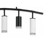 Подвесной светильник Lightstar Rullo LR7353728630