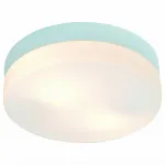 Потолочный светильник Arte Lamp Aqua A3211PL-2WH 
