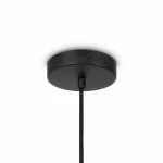 Подвесной светильник Maytoni Roots MOD197PL-01W1 от ImperiumLoft