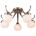 Потолочная люстра TopLight Olivia TL3750X-05AB 