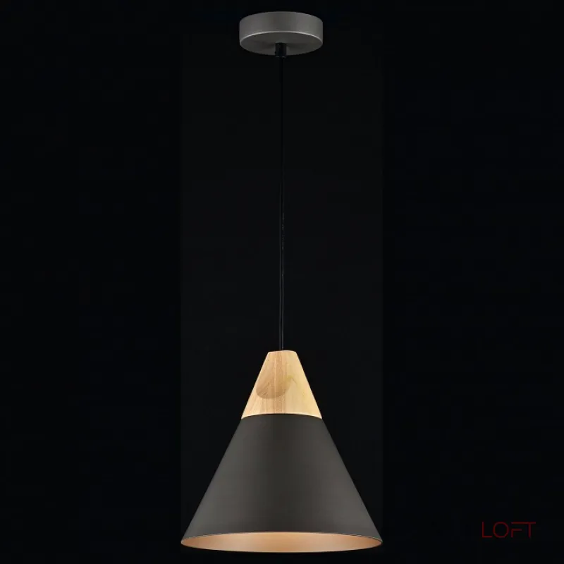 Подвесной светильник Maytoni P359-PL-220-C Подвесной светильник Maytoni P359-PL-220-C