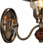 Бра Arte Lamp Trattoria A5664AP-1AB Цвет арматуры бронза Цвет плафонов бронза