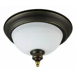 Потолочный светильник Arte Lamp Bonito A9518PL-2BA