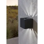 Настенный светильник Eglo Calpino 2 900445