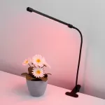 Светильник для растений Elektrostandard FT-004 a052889 Цвет арматуры черный Цвет плафонов черный от ImperiumLoft