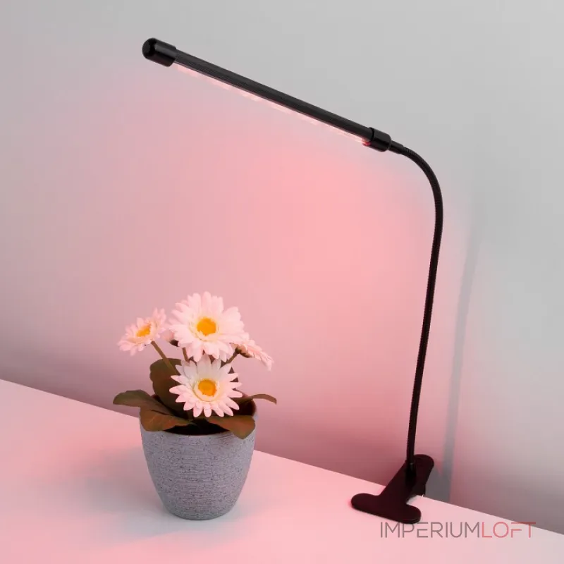 Светильник для растений Elektrostandard FT-004 a052889 Цвет арматуры черный Цвет плафонов черный от ImperiumLoft Светильник для растений Elektrostandard FT-004 a052889 Цвет арматуры черный Цвет плафонов черный от ImperiumLoft