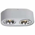 Накладной светильник Arte Lamp Cliff A5643PL-2WH Цвет арматуры белый Цвет плафонов хром
