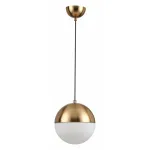 Подвесной светильник Odeon Light Pinga 4960/1A от ImperiumLoft