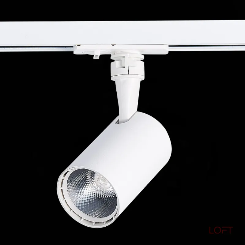 Светильник на штанге ST-Luce Cami ST351.546.10.36 Цвет арматуры белый Цвет плафонов белый