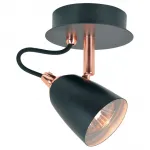 Спот Lussole LSP-985 GRLSP-9851 от ImperiumLoft