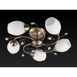 Потолочная люстра TopLight Katrina TL3590X-05AB 