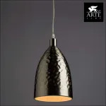 Подвесной светильник Arte Lamp Lucido A4083SP-1SS 