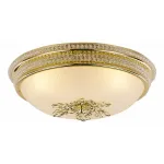 Потолочный светильник Arte Lamp Vassolo A9205PL-3GO