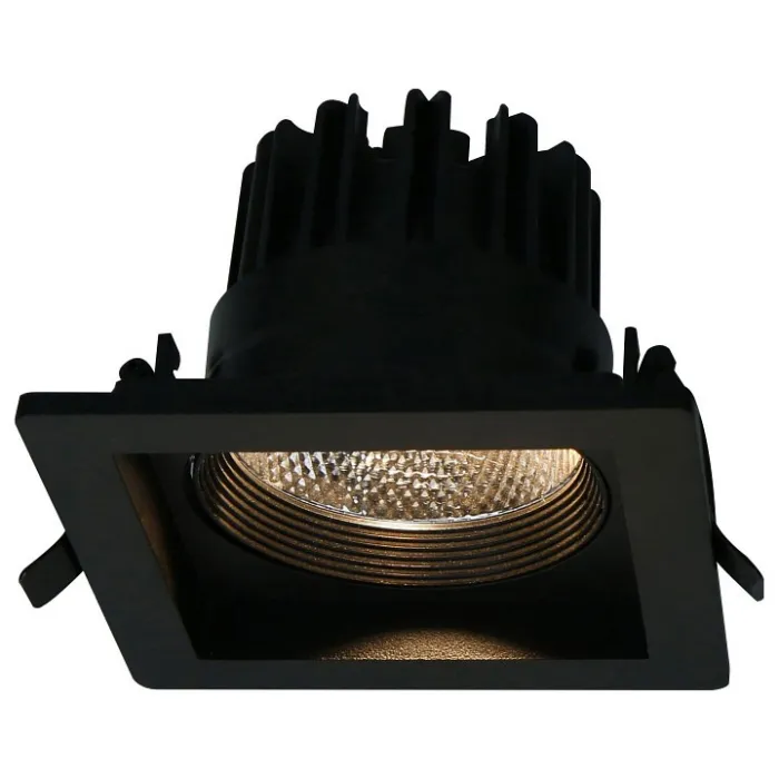 Встраиваемый светильник Arte Lamp Privato A7018PL-1BK Цвет арматуры черный Цвет плафонов прозрачный от ImperiumLoft