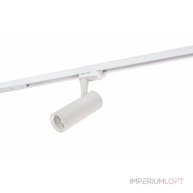 Светильник на штанге Denkirs DK620 DK6204-WH