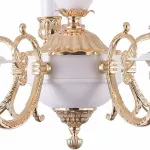 Подвесная люстра Arte Lamp 8020 A8020LM-5WG 