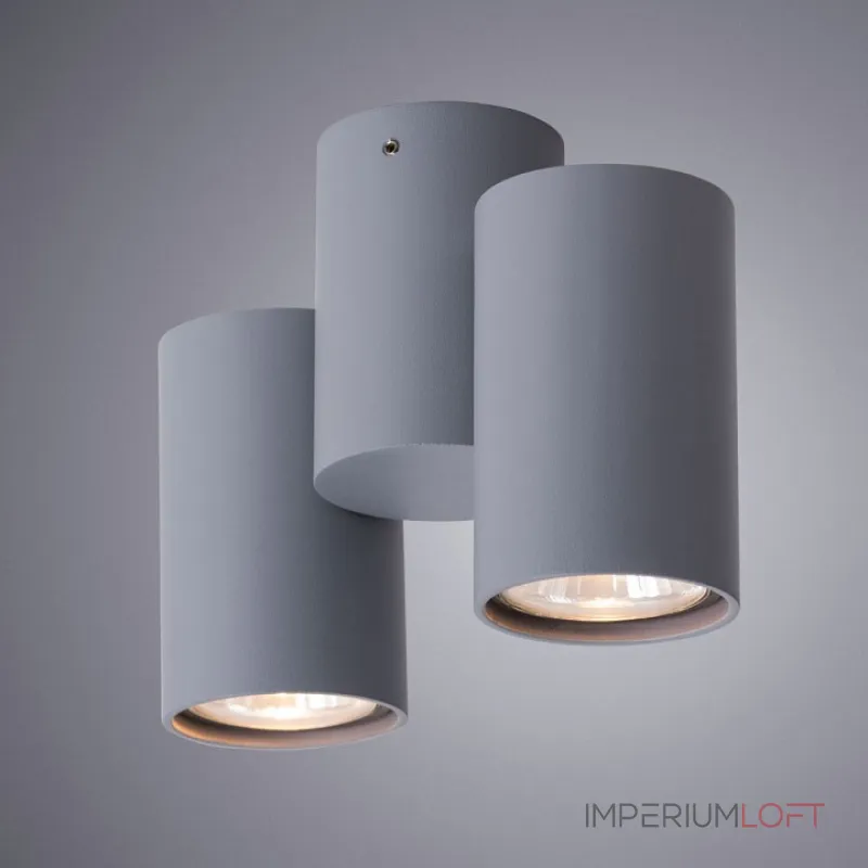 Спот Arte Lamp Gavroche A1511PL-2GY