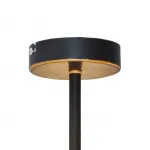 Потолочная люстра TopLight Roxana TL1194X-05BK Цвет арматуры золото Цвет плафонов прозрачный от ImperiumLoft